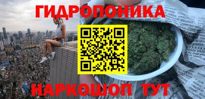 шишки Волжск