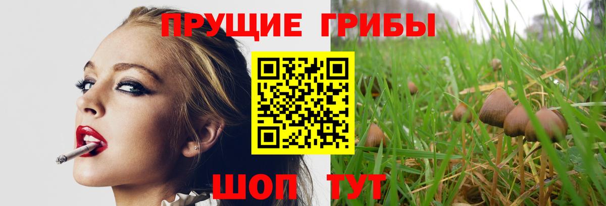 ГАШИШ Берёзовский