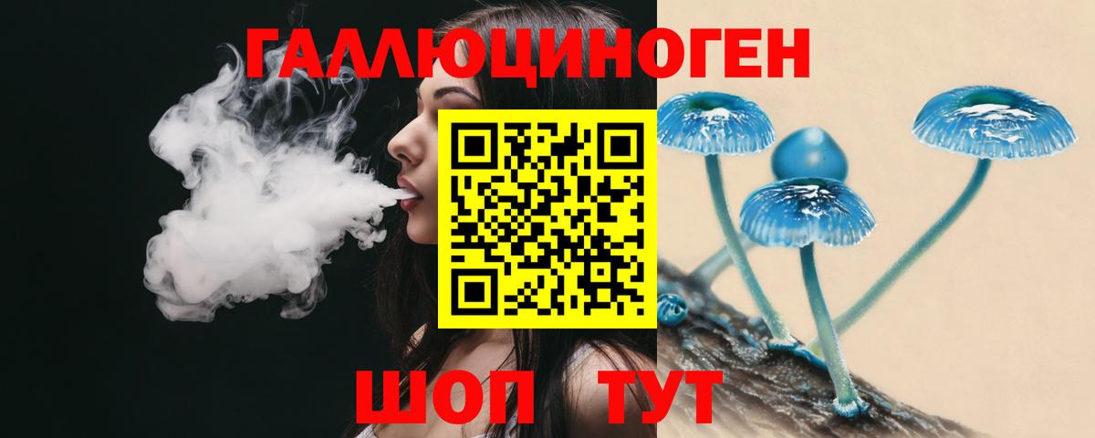 Берёзовский  Галлюциногенные грибы мицелий  Вход с VPN 